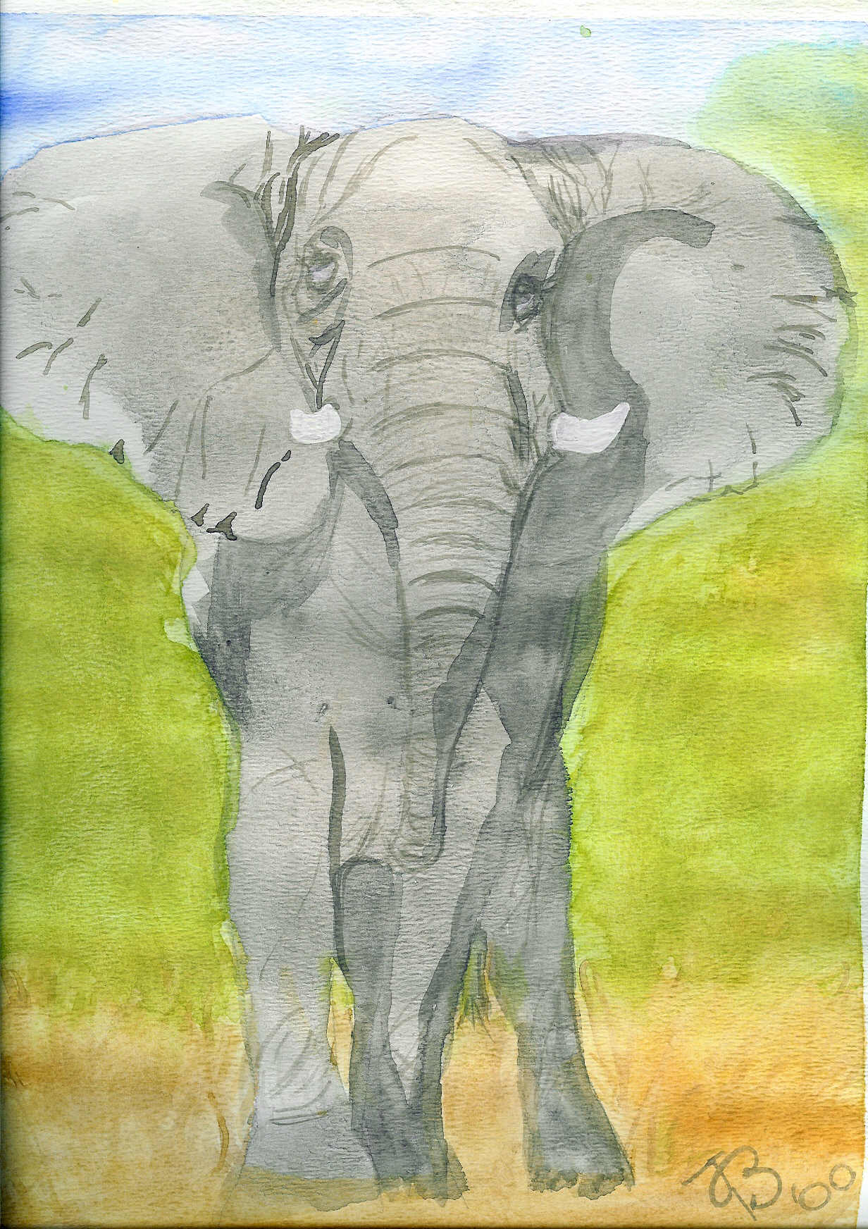 singleelephant.jpg